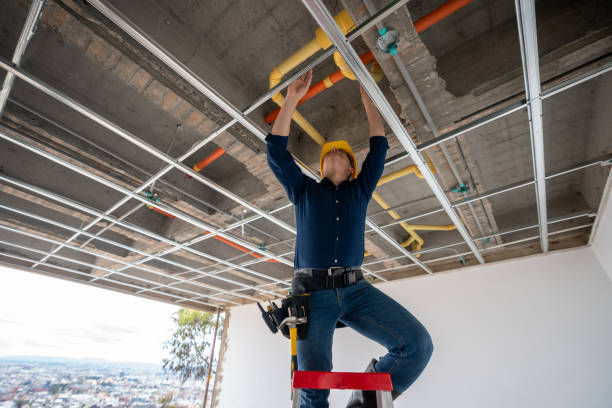 Best Residential Plumbing Services  in Napervle, IL