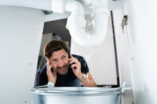 Best Pipe Repair Near Me  in Napervle, IL