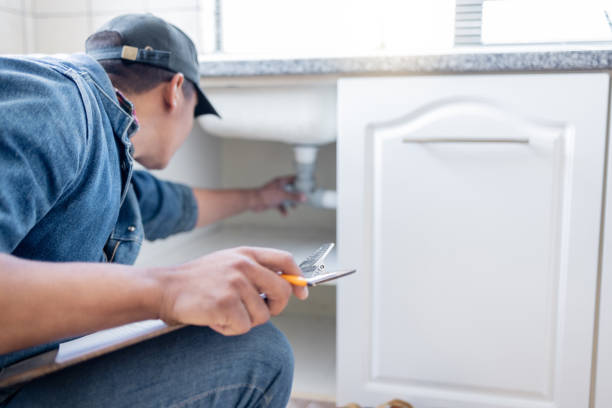 Best Plumbing Repair Near Me  in Napervle, IL