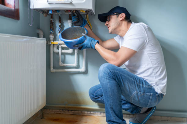 Best Plumbing Inspection Services  in Napervle, IL