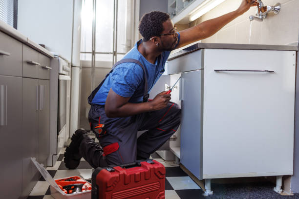 Best Commercial Plumbing Services  in Napervle, IL