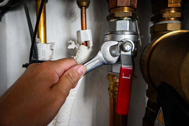 Best Emergency Plumbing Repair  in Napervle, IL